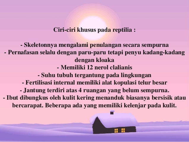 Kingdom Animalia Vertebrata 