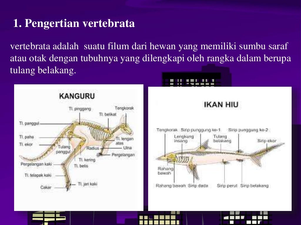 Kingdom Animalia (Vertebrata)