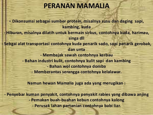Kingdom Animalia (Vertebrata)