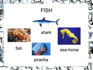 FISH
shark
fish
piranha
sea-horse