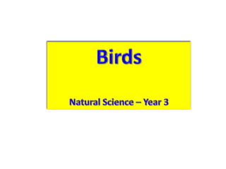 Vertebrate groups 3º