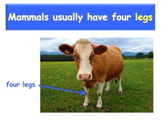 Vertebrate groups 3º