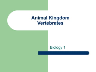 Animal Kingdom
  Vertebrates




      Biology 1
 