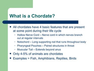 Vertebrate notes | PPT
