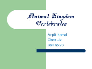 Animal Kingdom
 Vertebrates
      Ar pit kamal
      Class –ix
      Roll no.23
 