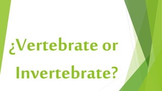 ¿Vertebrate or
Invertebrate?
 