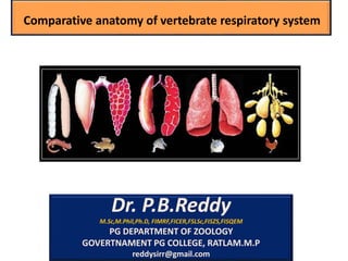 Dr. P.B.Reddy
M.Sc,M.Phil,Ph.D, FIMRF,FICER,FSLSc,FISZS,FISQEM
PG DEPARTMENT OF ZOOLOGY
GOVERTNAMENT PG COLLEGE, RATLAM.M.P
reddysirr@gmail.com
Comparative anatomy of vertebrate respiratory system
 