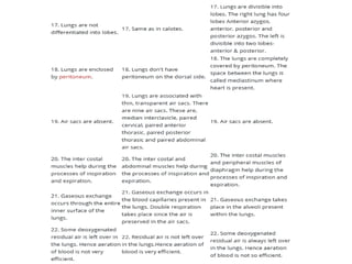 Vertebrate respiratory system
