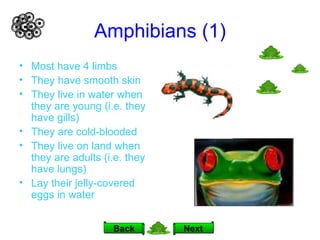 Amphibians (1) Most have 4 limbs They have smooth skin They live in water when they are young (i.e. they have gills) They are cold-blooded They live on land when they are adults (i.e. they have lungs) Lay their jelly-covered eggs in water Next Back 