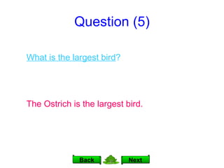 Question (5) Next Back What is the largest bird ? The Ostrich is the largest bird. 