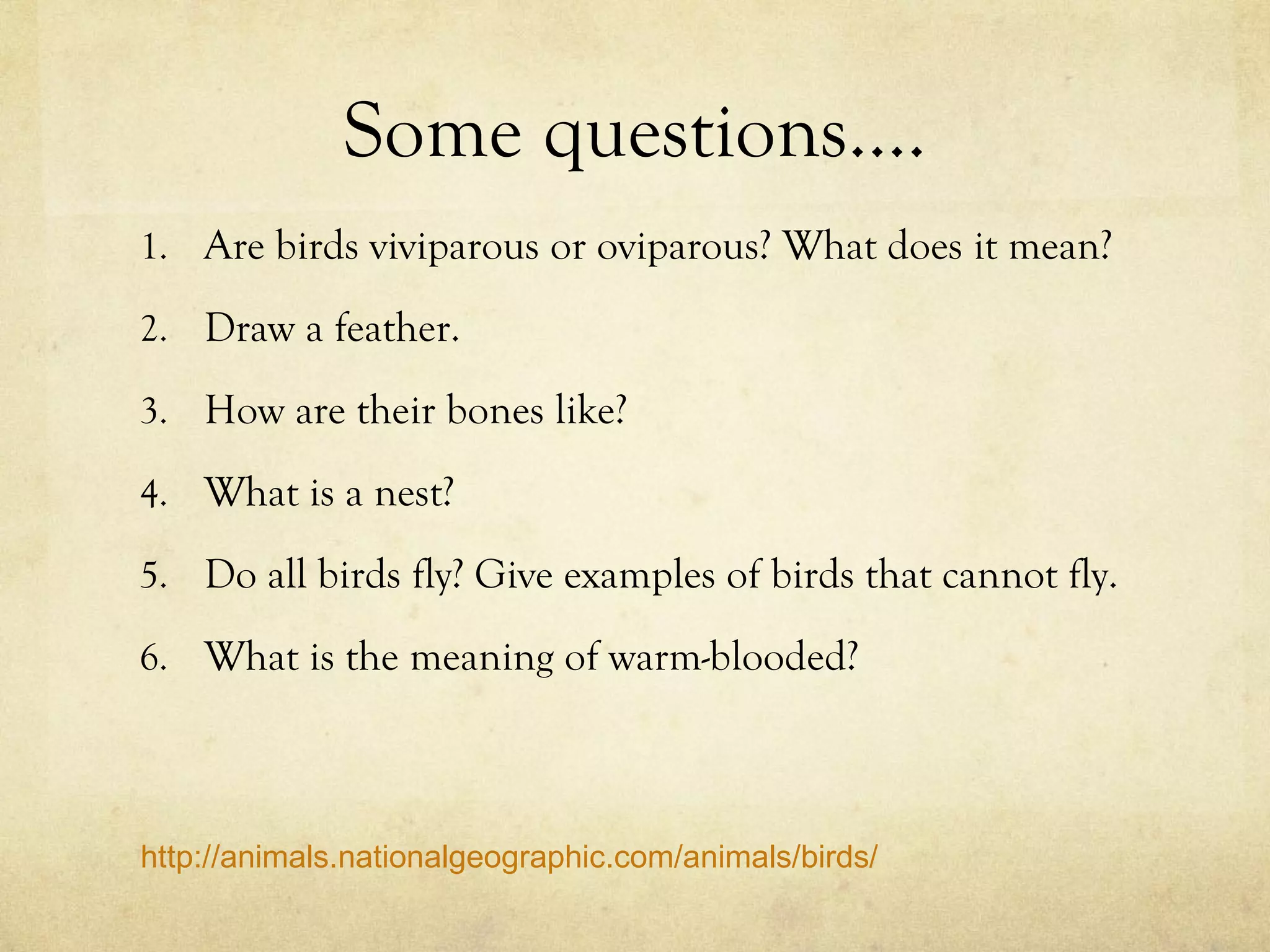 Some questions…. Are birds viviparous or oviparous? What does it mean? Draw a feather. How are their bones like? What is a nest? Do all birds fly? Give examples of birds that cannot fly. What is the meaning of warm-blooded? http://animals.nationalgeographic.com/animals/birds/ 