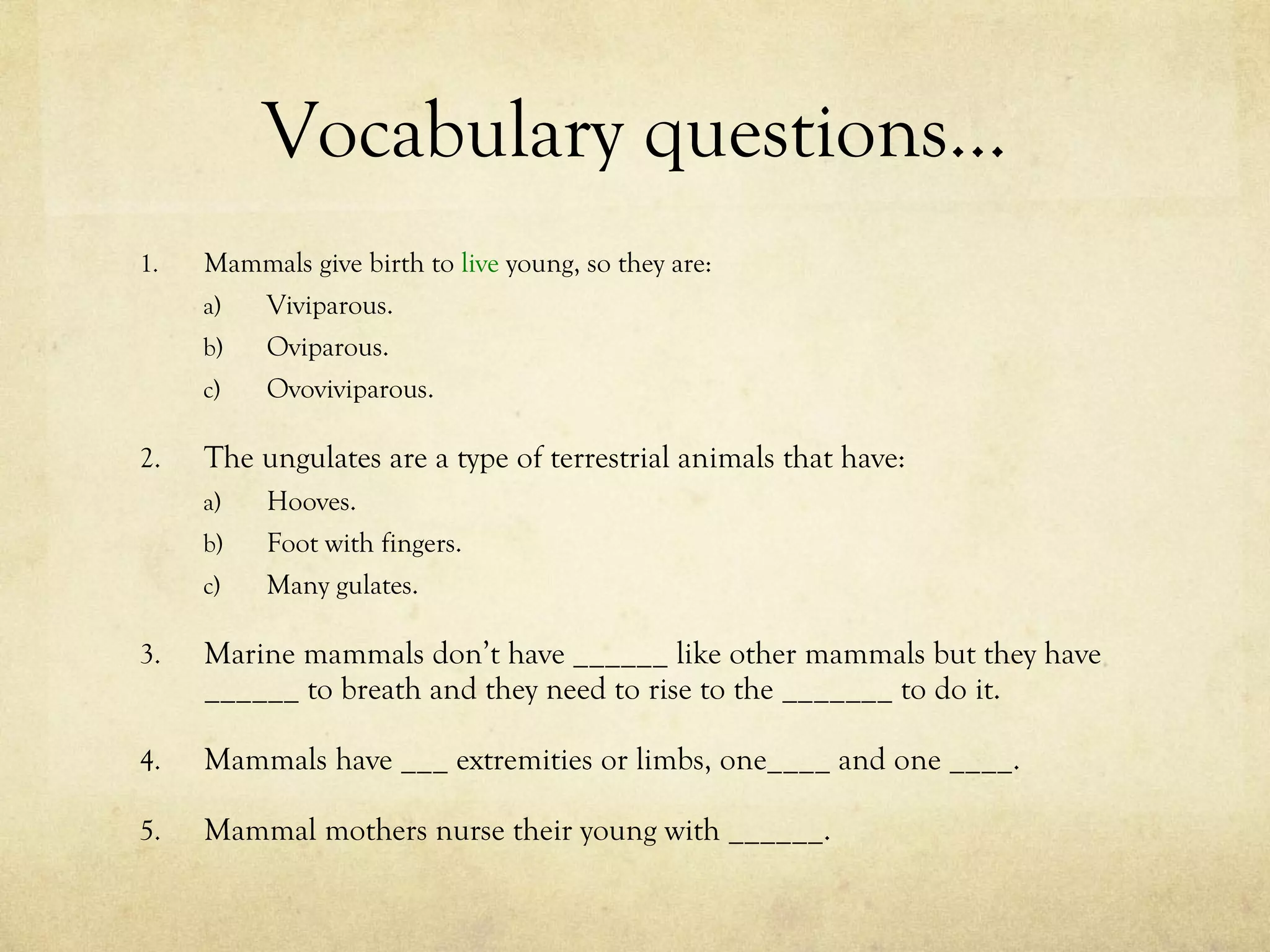 Vocabulary questions… Mammals give birth to  live  young, so they are: Viviparous. Oviparous. Ovoviviparous. The ungulates are a type of terrestrial animals that have: Hooves. Foot with fingers. Many gulates. Marine mammals don’t have ______ like other mammals but they have ______ to breath and they need to rise to the _______ to do it. Mammals have ___ extremities or limbs, one____ and one ____. Mammal mothers nurse their young with ______. 