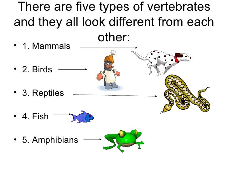 Vertebrates