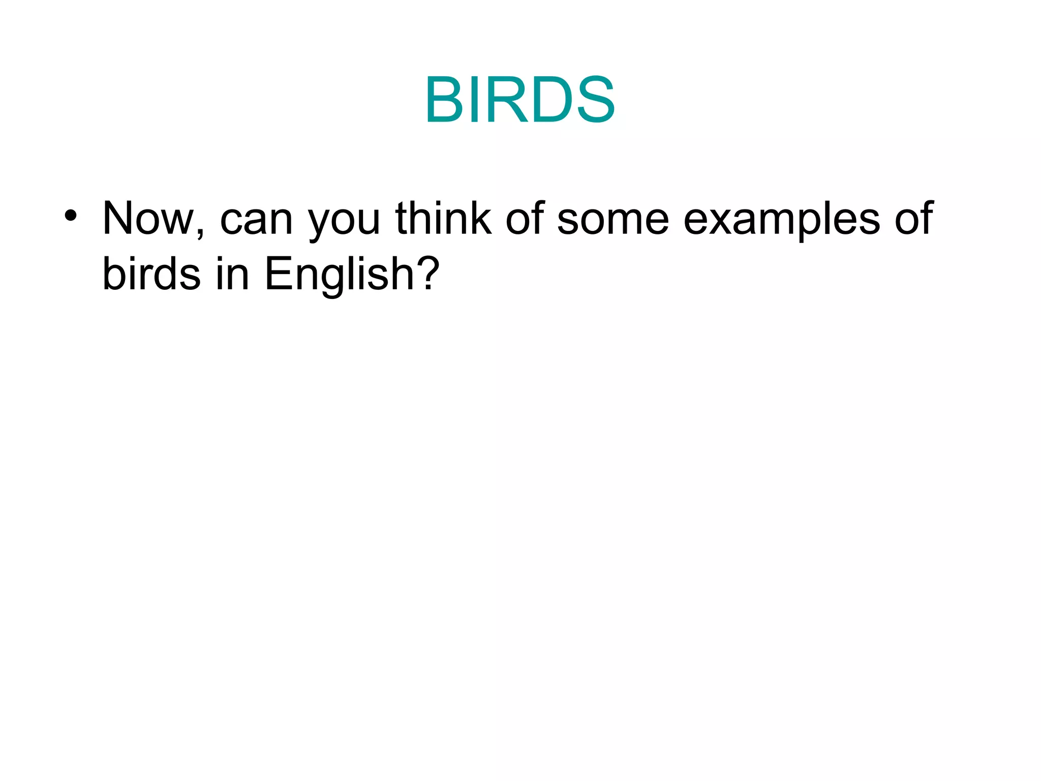 BIRDS
• Now, can you think of some examples of
birds in English?
 