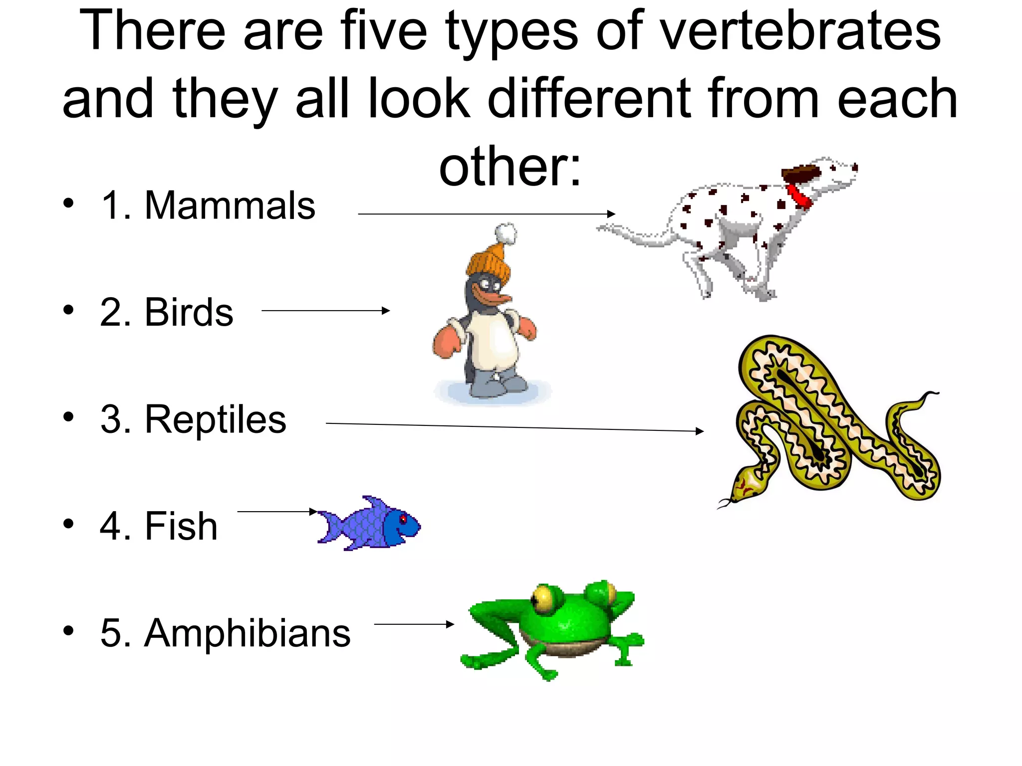 There are five types of vertebrates
and they all look different from each
other:
• 1. Mammals
• 2. Birds
• 3. Reptiles
• 4. Fish
• 5. Amphibians
 