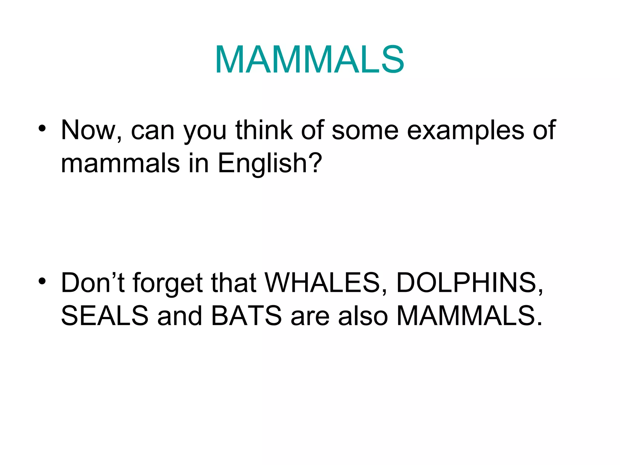 MAMMALS
• Now, can you think of some examples of
mammals in English?
• Don’t forget that WHALES, DOLPHINS,
SEALS and BATS are also MAMMALS.
 