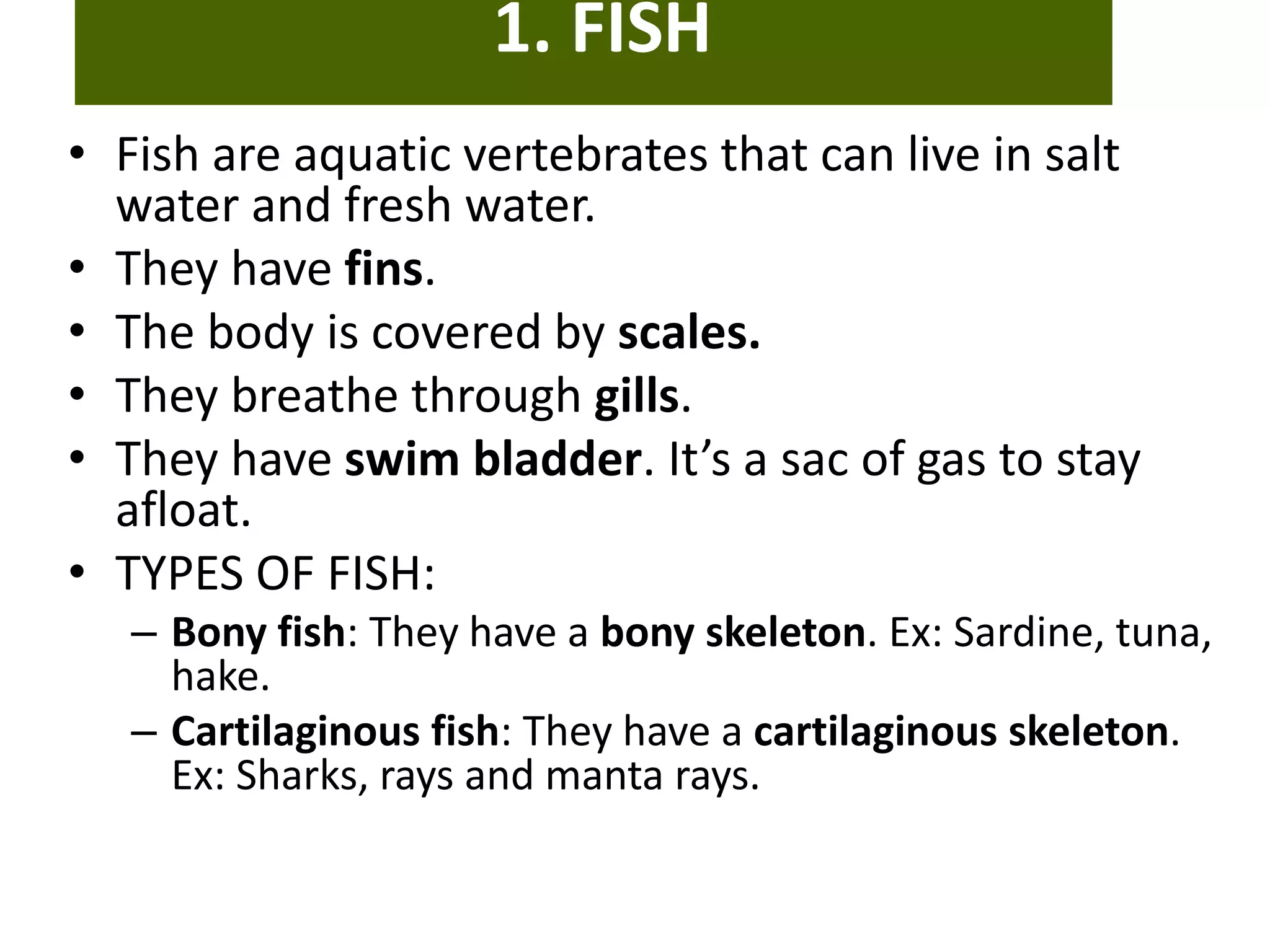 1. FISH
• Fish are aquatic vertebrates that can live in salt
water and fresh water.
• They have fins.
• The body is covered by scales.
• They breathe through gills.
• They have swim bladder. It’s a sac of gas to stay
afloat.
• TYPES OF FISH:
– Bony fish: They have a bony skeleton. Ex: Sardine, tuna,
hake.
– Cartilaginous fish: They have a cartilaginous skeleton.
Ex: Sharks, rays and manta rays.
 