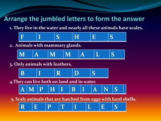 1. They live in the water and nearly all these animals have scales.
H I E S S F
2. Animals with mammary glands.
3. Only animals with feathers.
4.They can live both on land and in water.
5. Scaly animals that are hatched from eggs with hard shells.
L A M M A S M
D R I B S
P E R I T S L E
S H I N M A P I B A
F I S H E S
M A M M A L S
B I R D S
A M P H I B I A N S
R E P T I L E S
 