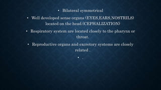 Vertebrates . | PPTX