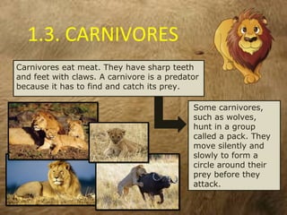 Vertebrates | PPT