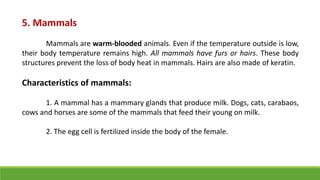 5. Mammals
Mammals are warm-blooded animals. Even if the temperature outside is low,
their body temperature remains high. All mammals have furs or hairs. These body
structures prevent the loss of body heat in mammals. Hairs are also made of keratin.
Characteristics of mammals:
1. A mammal has a mammary glands that produce milk. Dogs, cats, carabaos,
cows and horses are some of the mammals that feed their young on milk.
2. The egg cell is fertilized inside the body of the female.
 