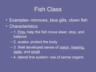 Science Vertebrates Fish vertebrates GRADE 2 SCIENCE LESSON .ppt