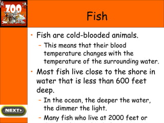<ul><li>Fish are cold-blooded animals.  </li></ul><ul><ul><li>This means that their blood temperature changes with the tem...