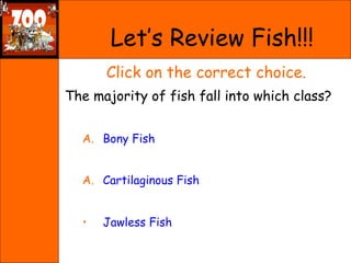 <ul><li>Click on the correct choice. </li></ul><ul><li>The majority of fish fall into which class? </li></ul><ul><ul><li>B...