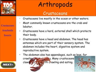 <ul><li>Crustaceans live mostly in the ocean or other waters.  </li></ul><ul><li>Most commonly known crustaceans are the c...