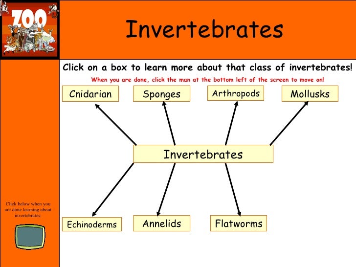 Invertebrate Group 69