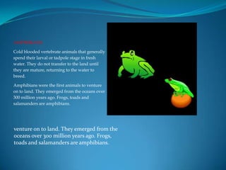 venture on to land. They emerged from the oceans over 300 million years ago. Frogs, toads and salamanders are amphibians. ...