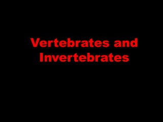 Vertebrates and
 Invertebrates
 