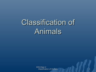 Classification of
Animals

EVS-Class V
Classification of Animals

1

 