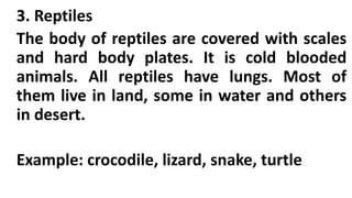 3. Reptiles
The body of reptiles are covered with scales
and hard body plates. It is cold blooded
animals. All reptiles have lungs. Most of
them live in land, some in water and others
in desert.
Example: crocodile, lizard, snake, turtle
 