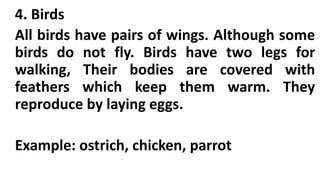4. Birds
All birds have pairs of wings. Although some
birds do not fly. Birds have two legs for
walking, Their bodies are covered with
feathers which keep them warm. They
reproduce by laying eggs.
Example: ostrich, chicken, parrot
 