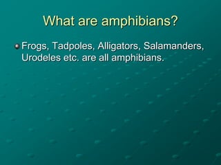 What are amphibians?
Frogs, Tadpoles, Alligators, Salamanders,
Urodeles etc. are all amphibians.

 