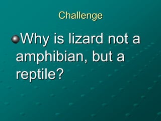 Challenge

Why is lizard not a
amphibian, but a
reptile?

 