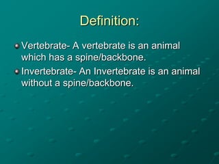 Definition:
Vertebrate- A vertebrate is an animal
which has a spine/backbone.
Invertebrate- An Invertebrate is an animal
w...