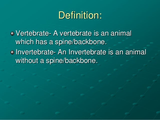 Vertebrates and Invertebrates- Biology- Key Stage 3 & 4