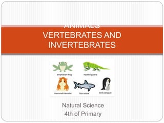 Natural Science
4th of Primary
ANIMALS
VERTEBRATES AND
INVERTEBRATES
 