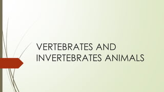 VERTEBRATES AND
INVERTEBRATES ANIMALS
 
