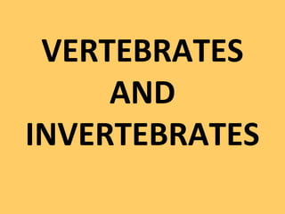 VERTEBRATES
AND
INVERTEBRATES
 