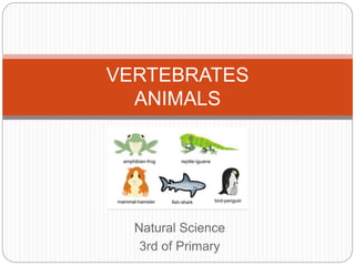 Natural Science
3rd of Primary
VERTEBRATES
ANIMALS
 