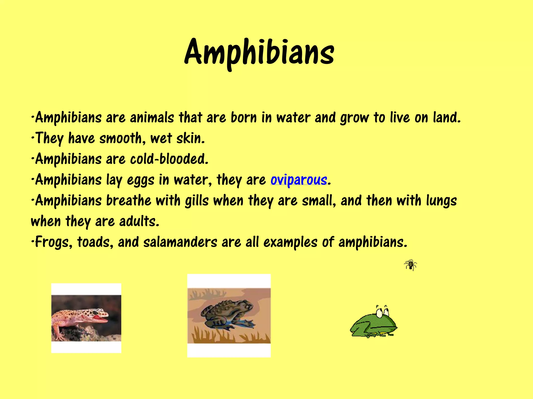 Amphibians
·Amphibians are animals that are born in water and grow to live on land.
·They have smooth, wet skin.
·Amphibians are cold-blooded.
·Amphibians lay eggs in water, they are oviparous.
·Amphibians breathe with gills when they are small, and then with lungs
when they are adults.
·Frogs, toads, and salamanders are all examples of amphibians.
 
