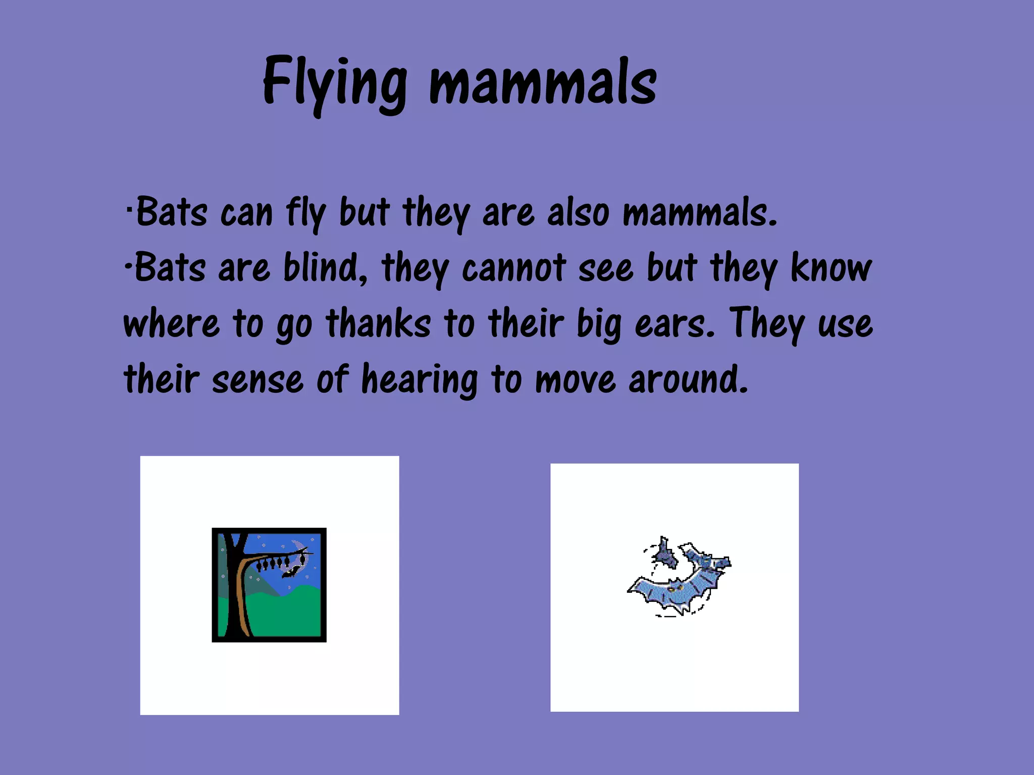 Flying mammals
·Bats can fly but they are also mammals.
·Bats are blind, they cannot see but they know
where to go thanks to their big ears. They use
their sense of hearing to move around.
 