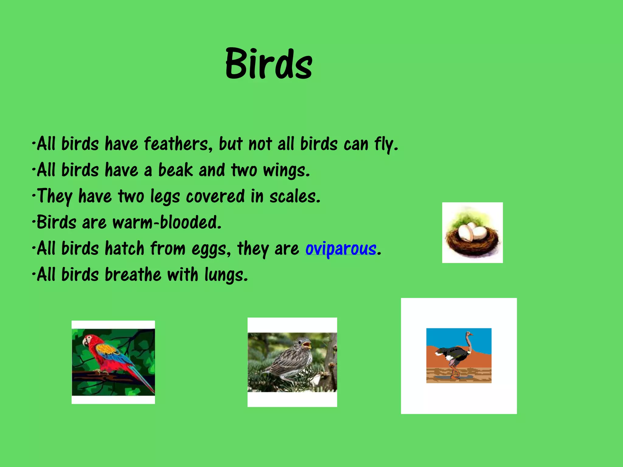 Birds
·All birds have feathers, but not all birds can fly.
·All birds have a beak and two wings.
·They have two legs covered in scales.
·Birds are warm-blooded.
·All birds hatch from eggs, they are oviparous.
·All birds breathe with lungs.
 