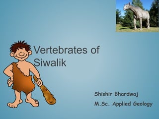 Vertebrates of
Siwalik
Shishir Bhardwaj
M.Sc. Applied Geology
 