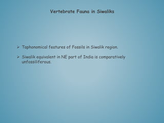 Vertebrates of Siwalik