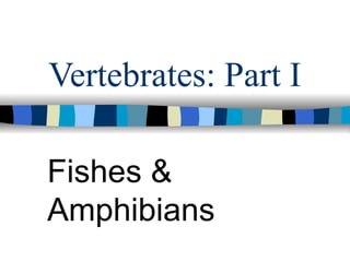 Vertebrates: Part I Fishes & Amphibians 