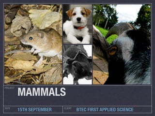 MAMMALS
PROJECT




DATE                       CLIENT
          15TH SEPTEMBER            BTEC FIRST APPLIED SCIENCE
 